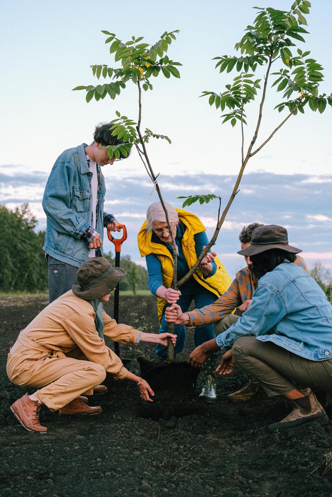 Community planting a tree together