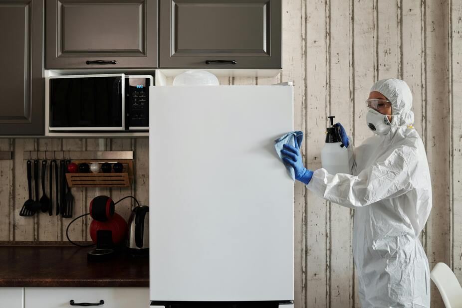 Professional cleaning of a kitchen